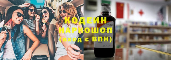 шишки Бородино