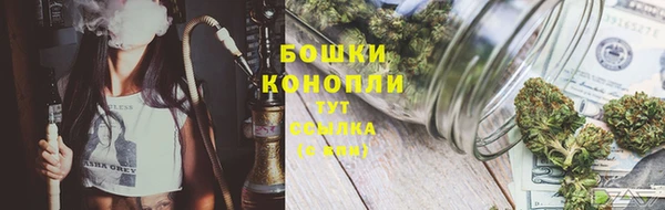 шишки Бородино