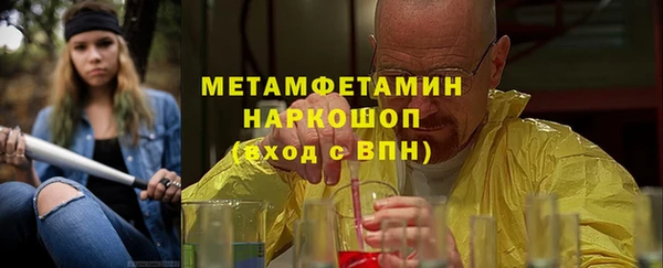 шишки Бородино