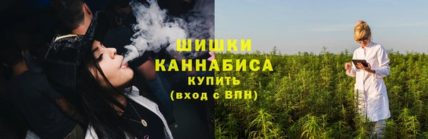 шишки Бородино
