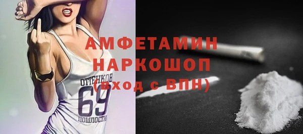шишки Бородино