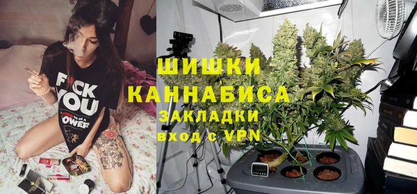 шишки Бородино