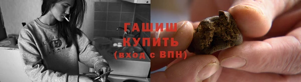 шишки Бородино