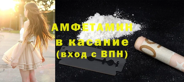шишки Бородино