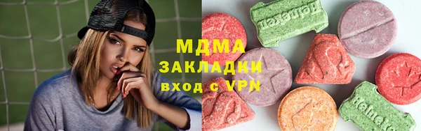 шишки Бородино