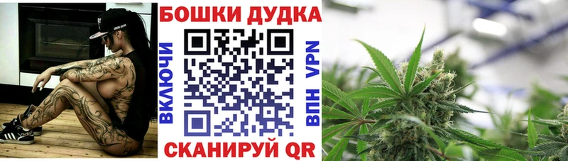 Бошки марихуана AK-47  где купить наркоту  Обь 